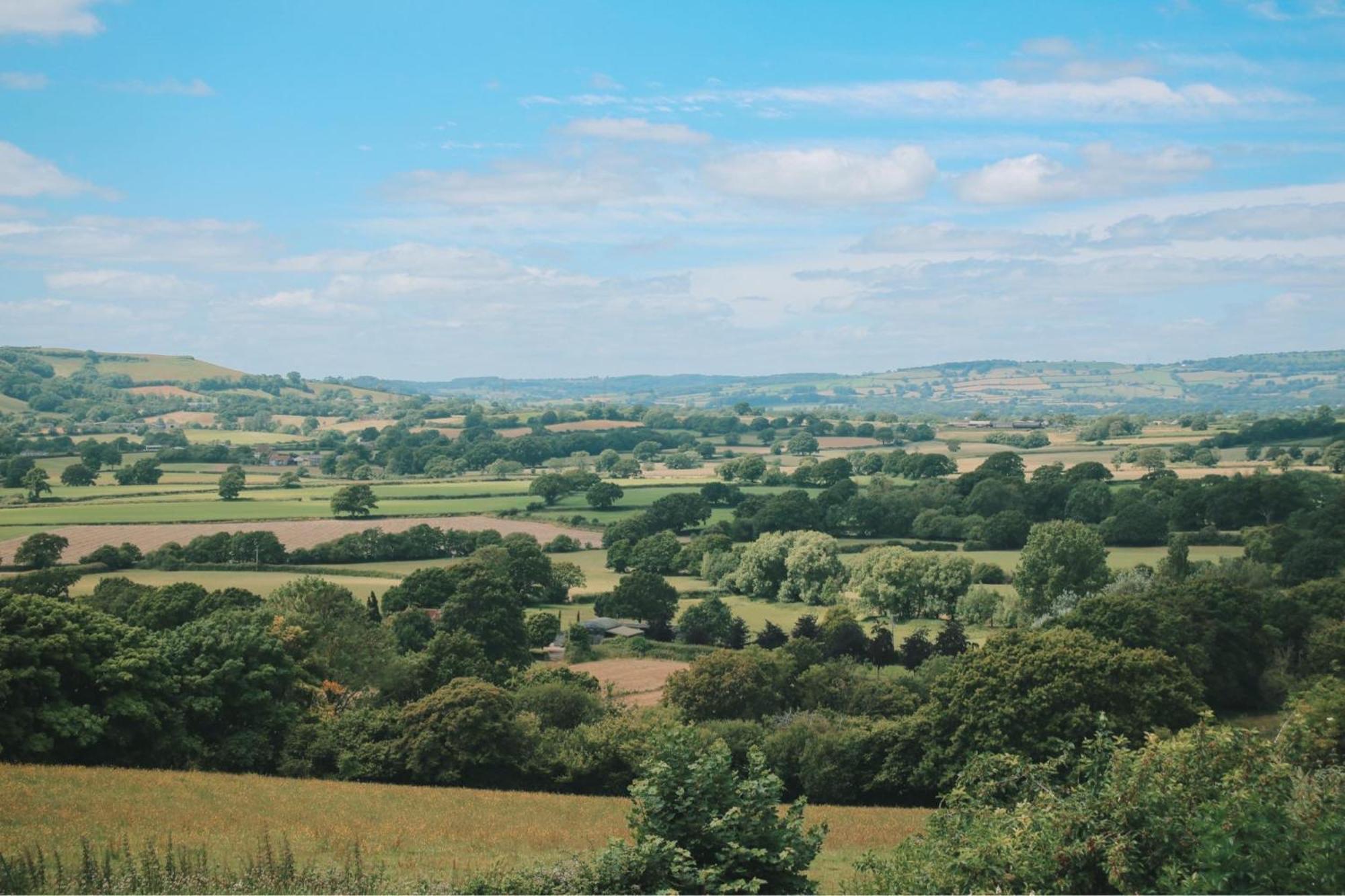 Apartment Strongate View - Cosy Stylish Rural Jurassic Coast & Bridport Nearby